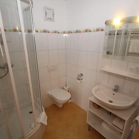 Waldwirt 3* Russbach am Pass Gschütt