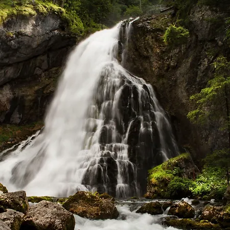 Waldwirt 3* Russbach am Pass Gschütt