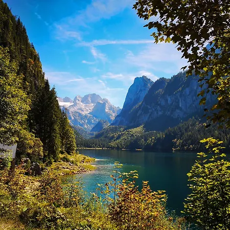 Maison d'hôtes Waldwirt 3*